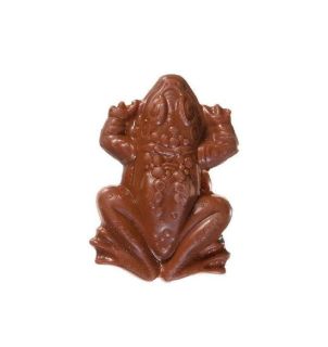 Harry Potter Chocolate Frog