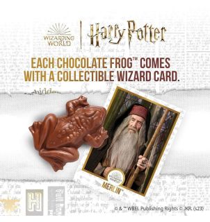 Harry Potter Chocolate Frog