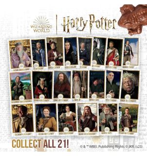 Harry Potter Chocolate Frog