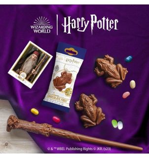 Harry Potter Chocolate Frog